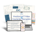 ACT in Practice: Practical ACT Training for Therapists